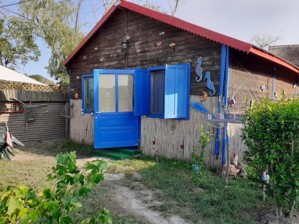 Hotel Casa Delta 106 Sfântu Gheorghe Exterior foto