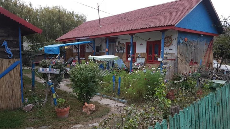 Hotel Casa Delta 106 Sfântu Gheorghe Exterior foto